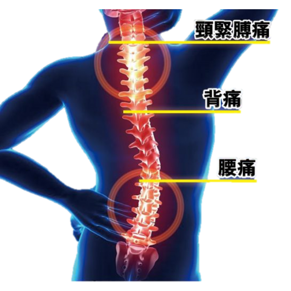 身體各部位療程（局部）